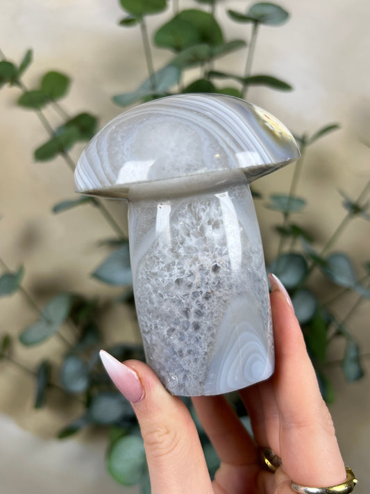 Agate Mushroom (43EN)