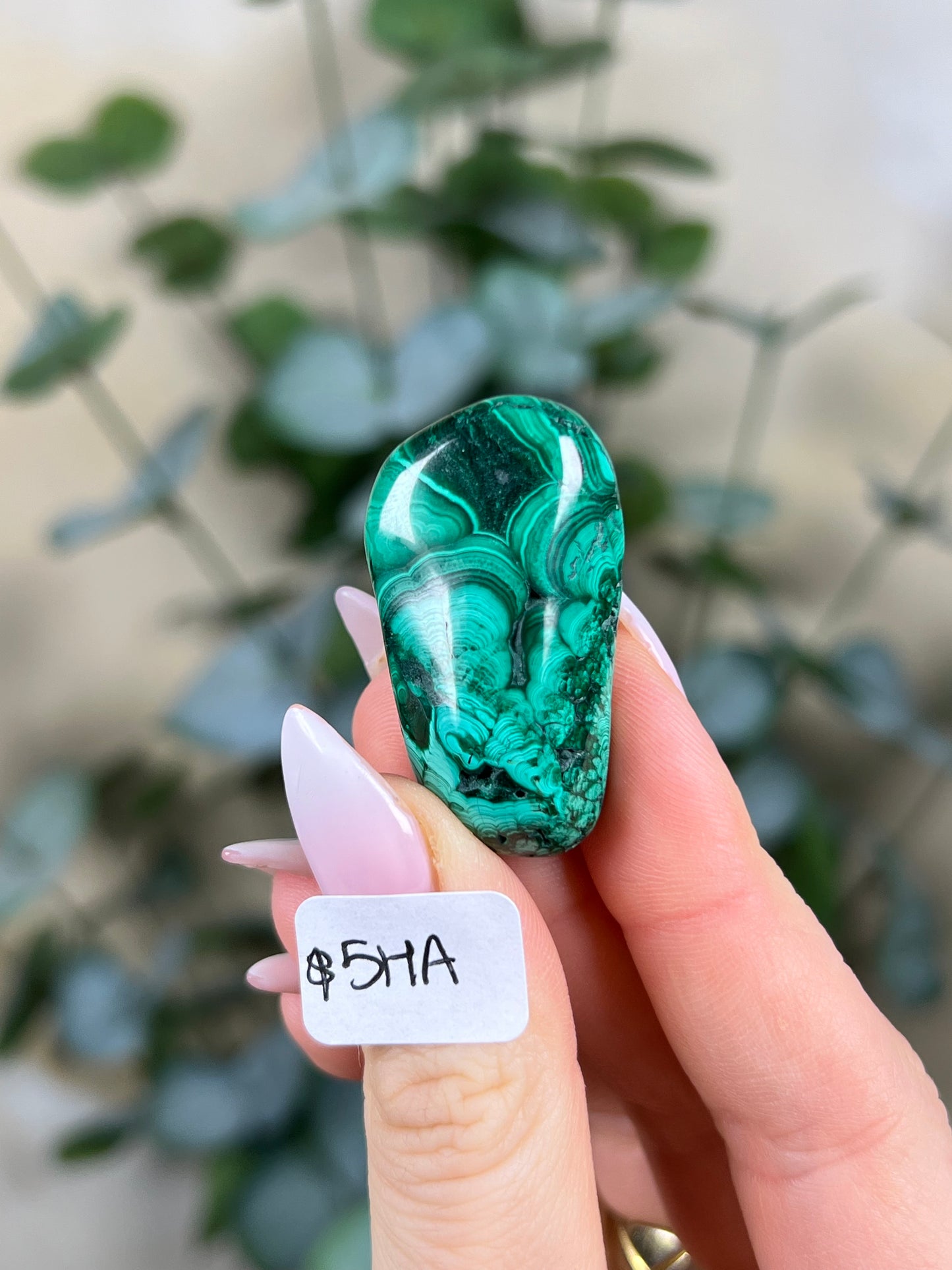 Malachite Polished (5GZ, 5HA)