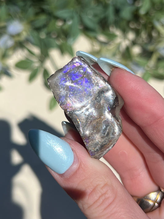 Ammolite (15AL)