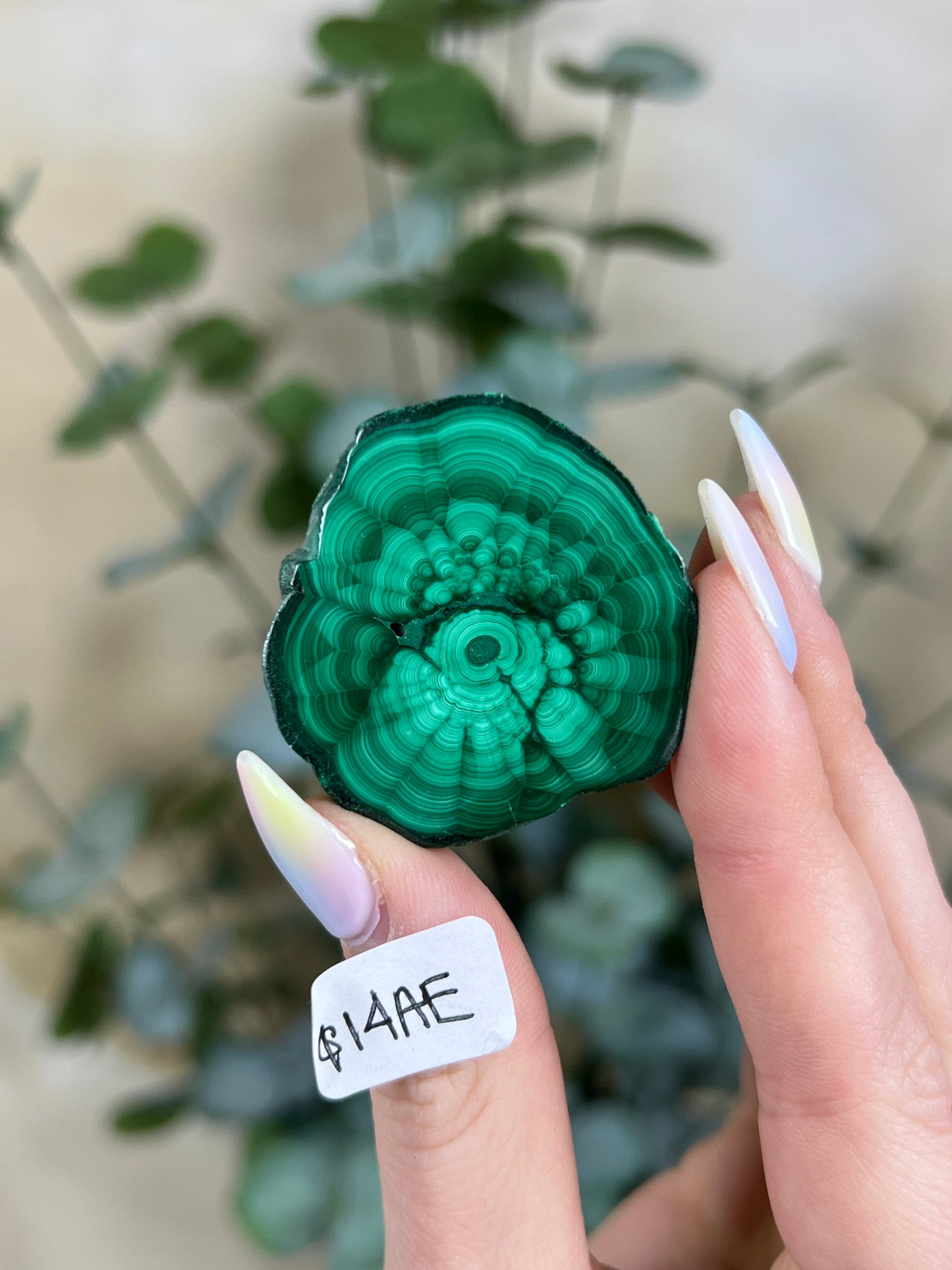 Malachite Slabs (10AD-14AF)