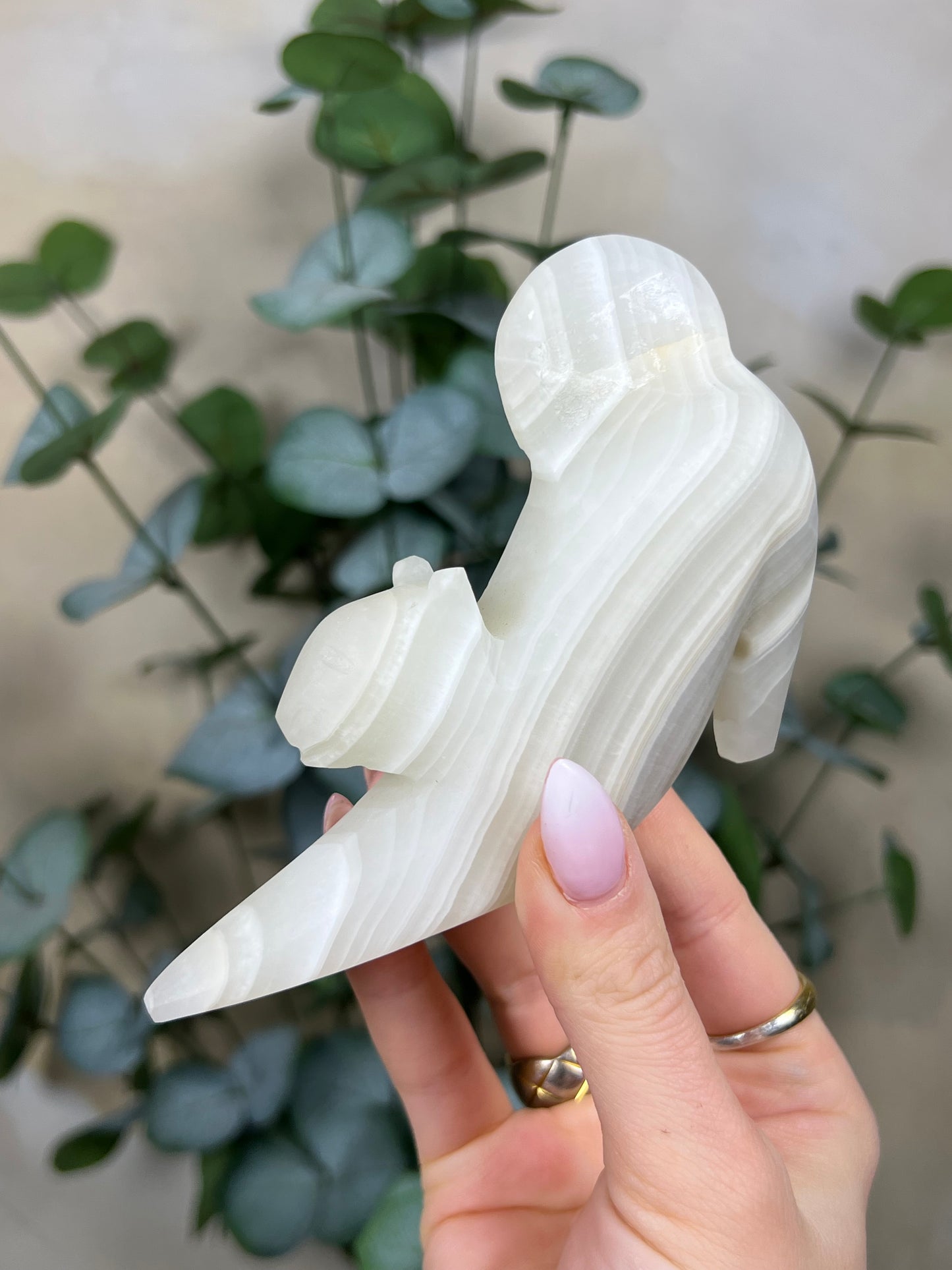 Calcite Stretching Cat (23GF)