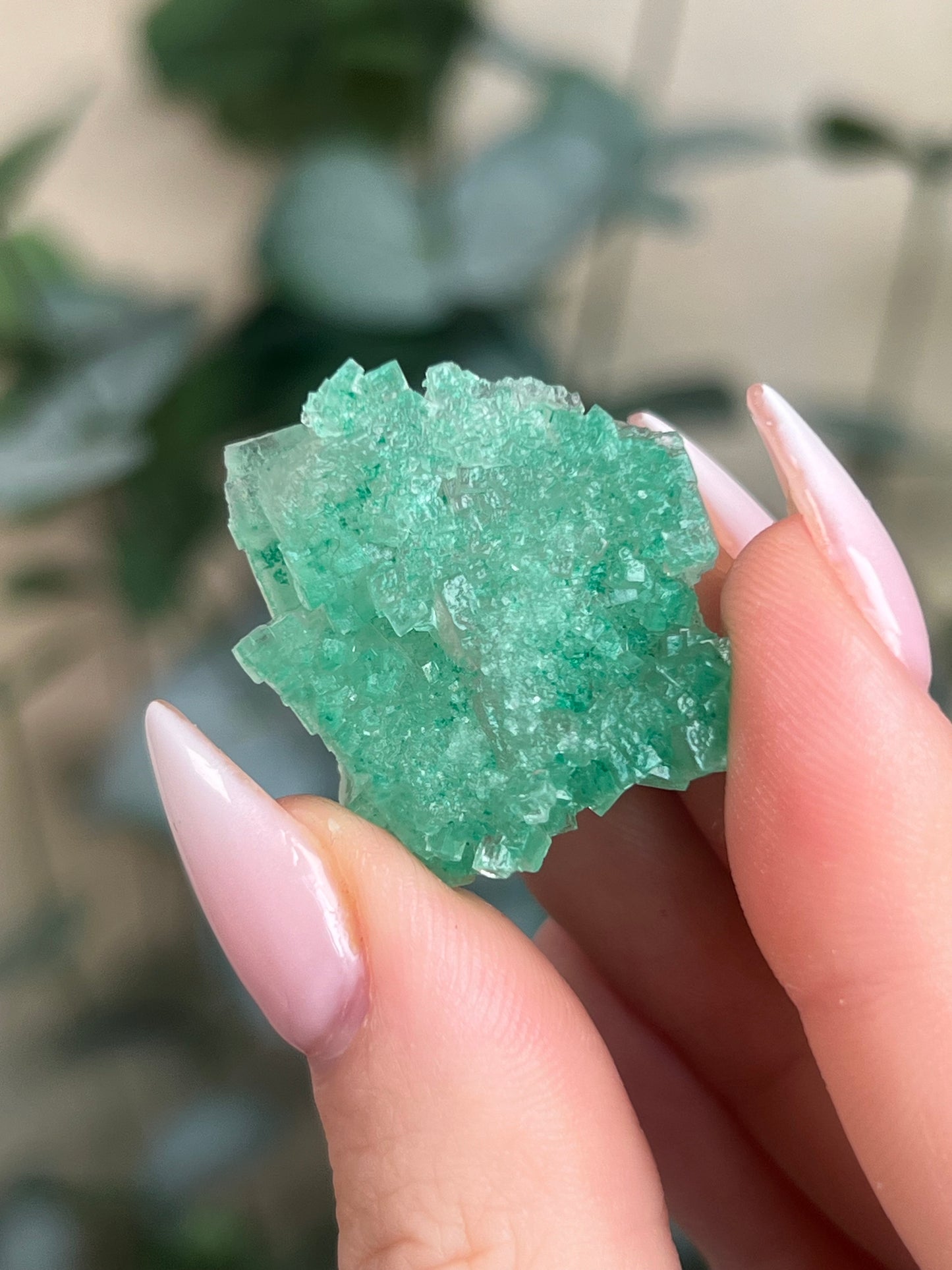 Green Halite with Display Block (70KH)