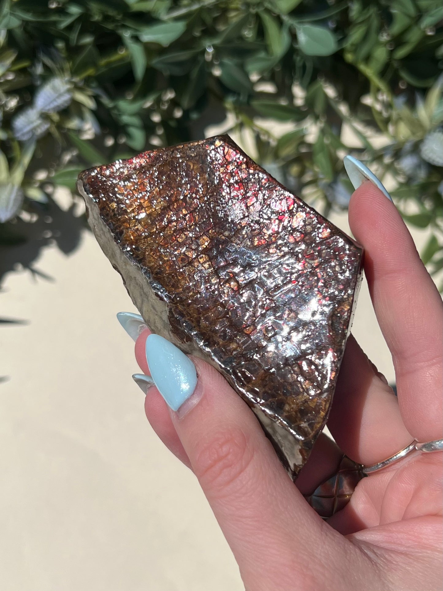 Ammolite (40AH)