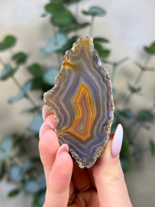 Condor Agate (146EA)