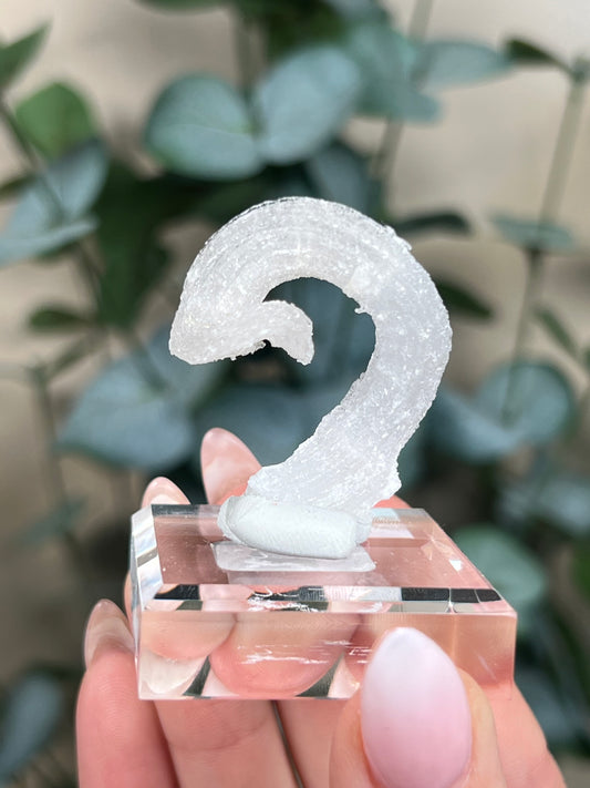 Horn Selenite (22EI)