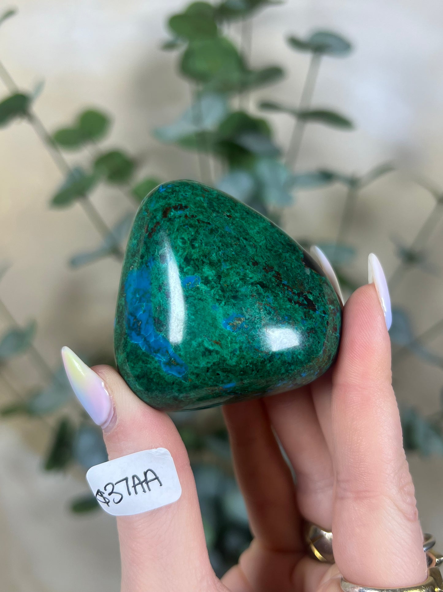 Malachite Chrysocolla Freeforms (18AD-37AA)