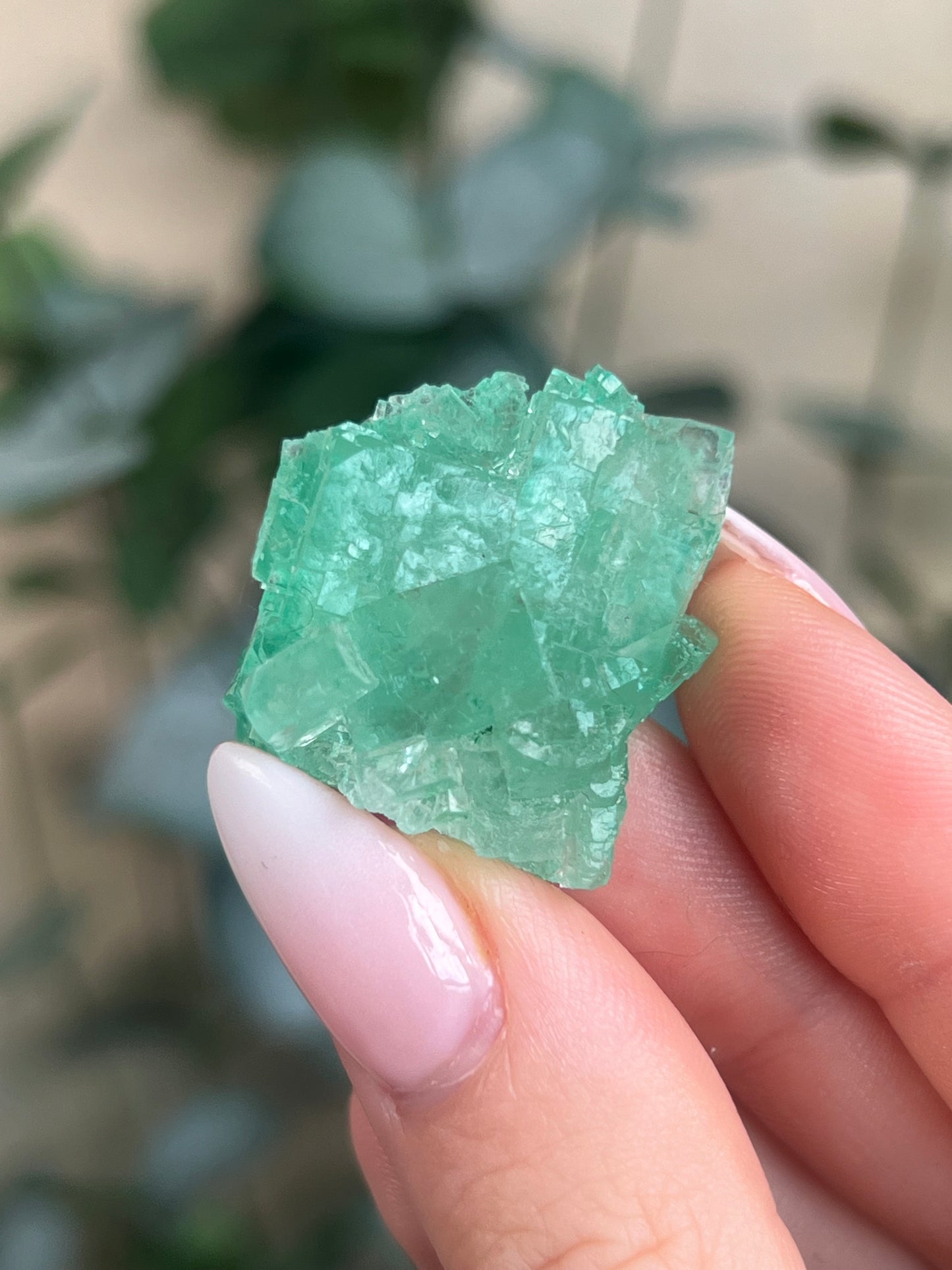 Green Halite with Display Block (70KH)