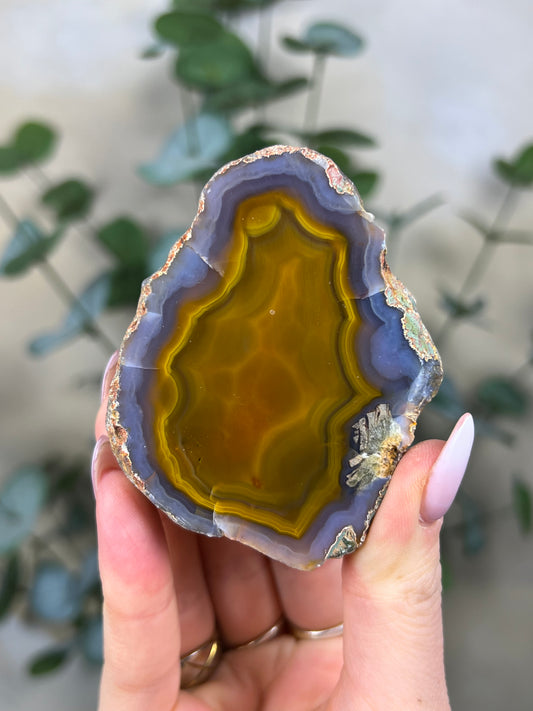 Condor Agate (146EB)