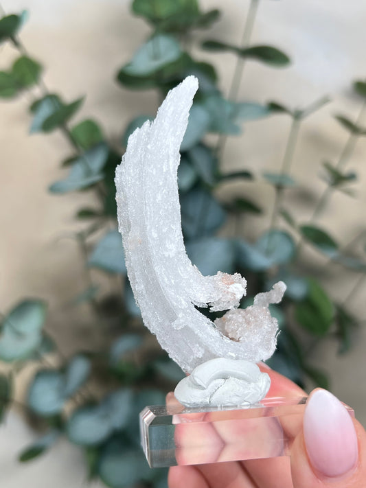 Horn Selenite (46EE)