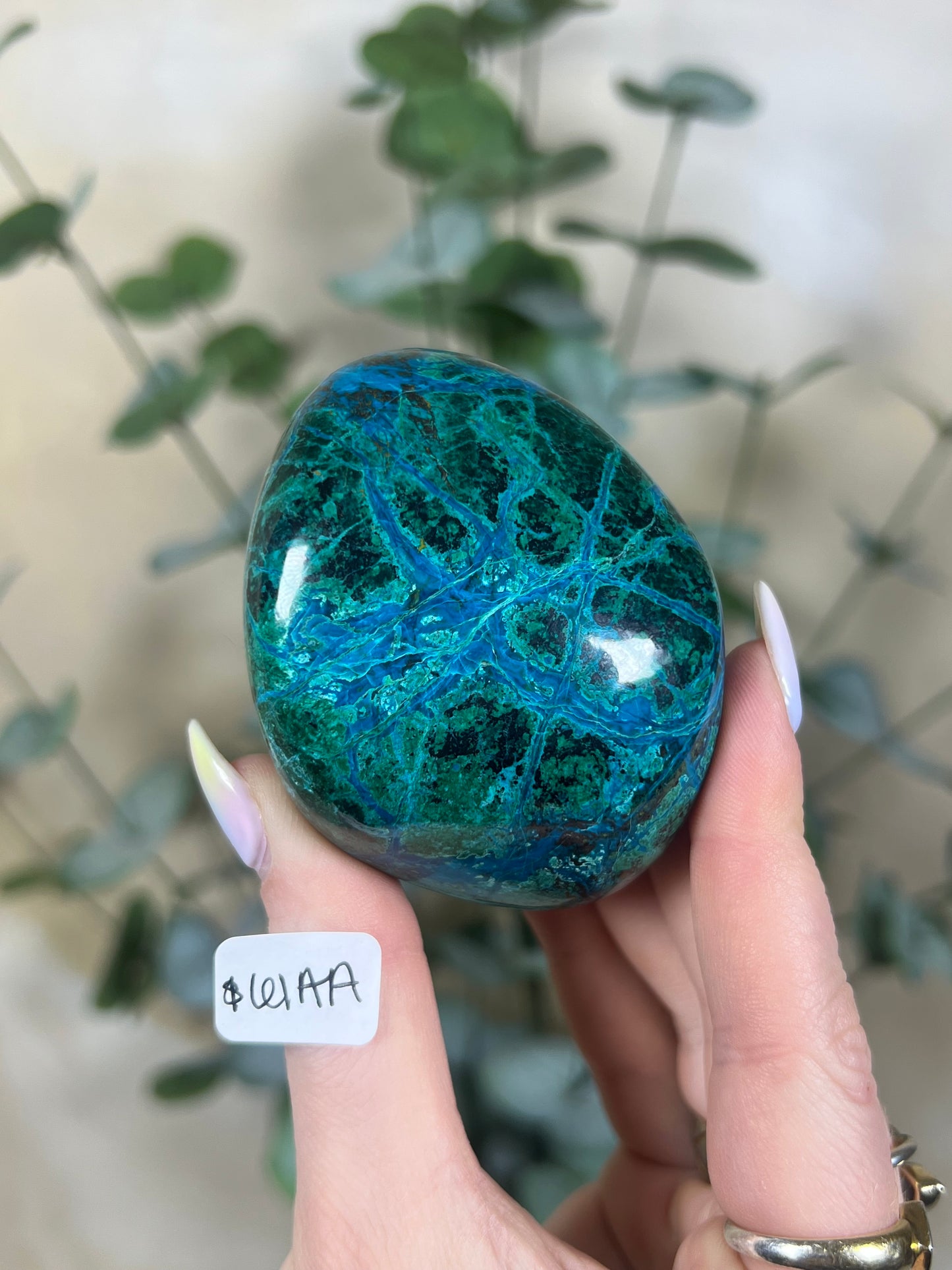 Malachite Chrysocolla Freeforms (37AB-61AA)