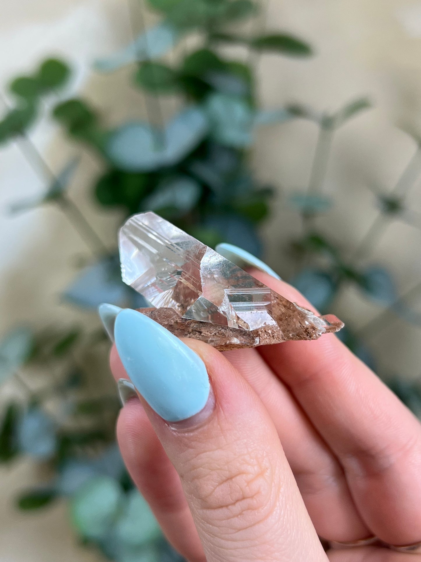 Durango Selenite (123EA)