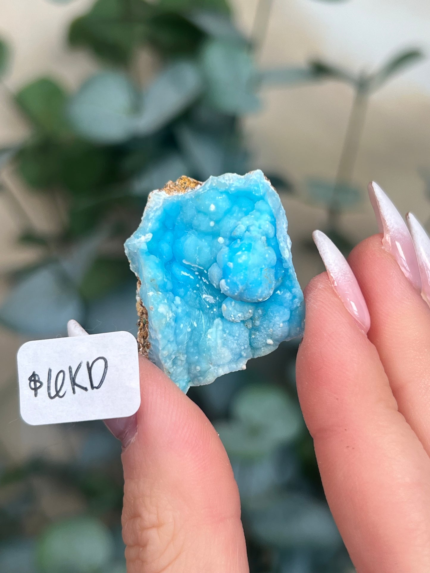 Blue Aragonite (5-10, 6 options)