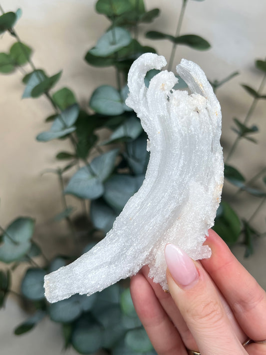 Horn Selenite (119EA)