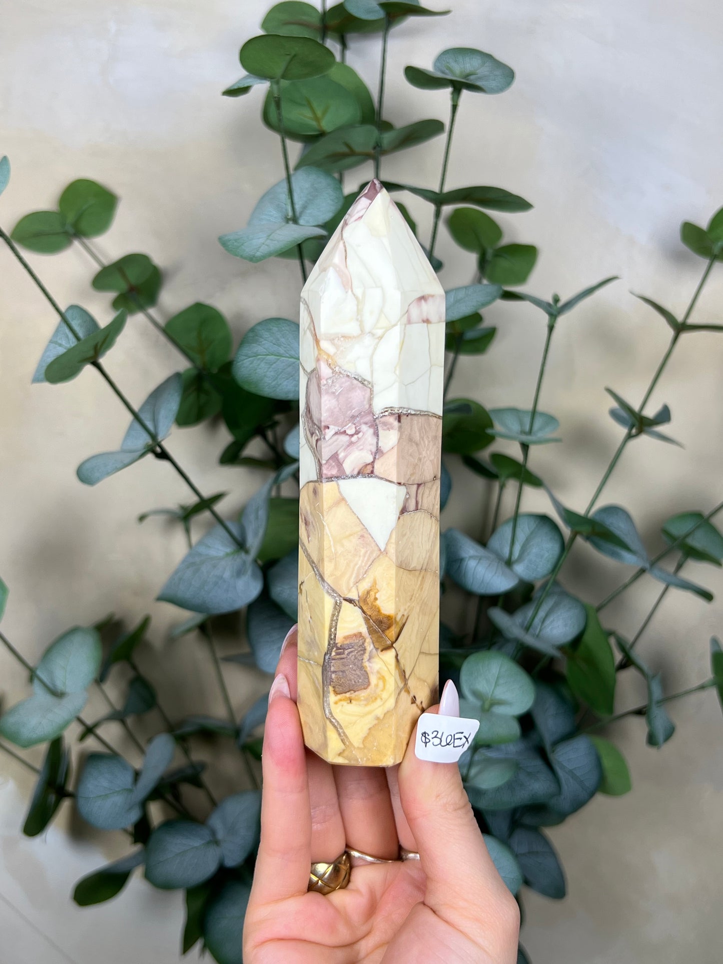 Ibis Jasper Towers (35ER, 36EX)