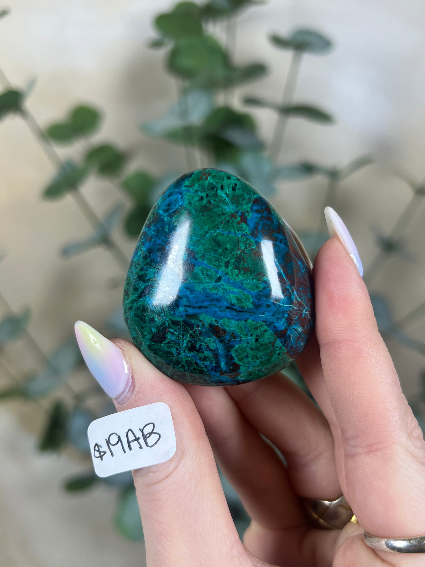 Malachite Chrysocolla Freeforms (18AD-37AA)
