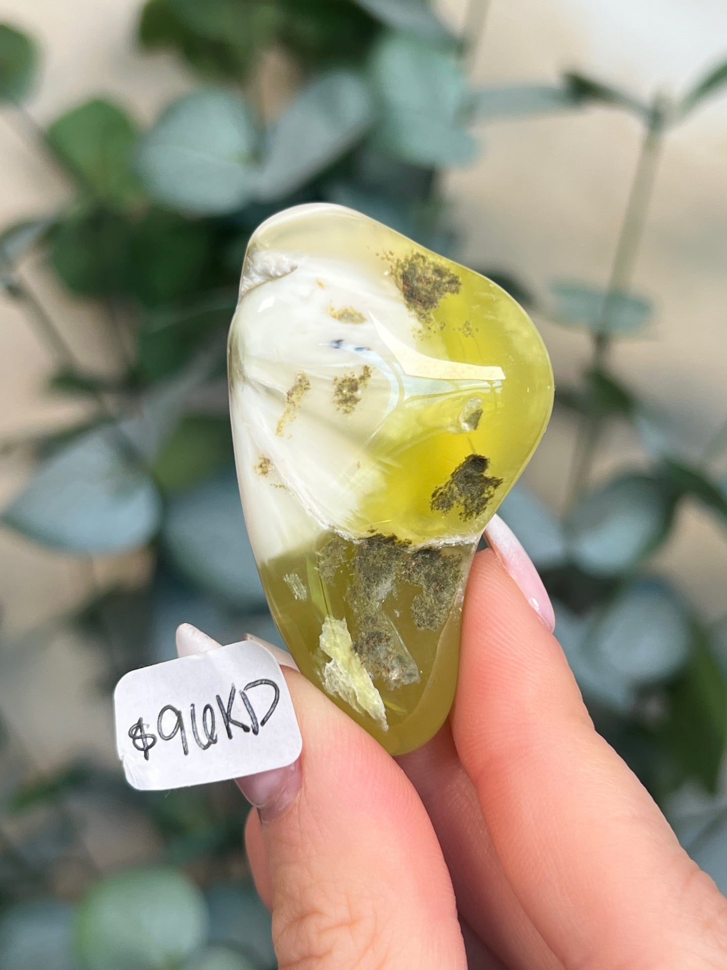 Australian Prehnite Polished (96KD, 195KA)