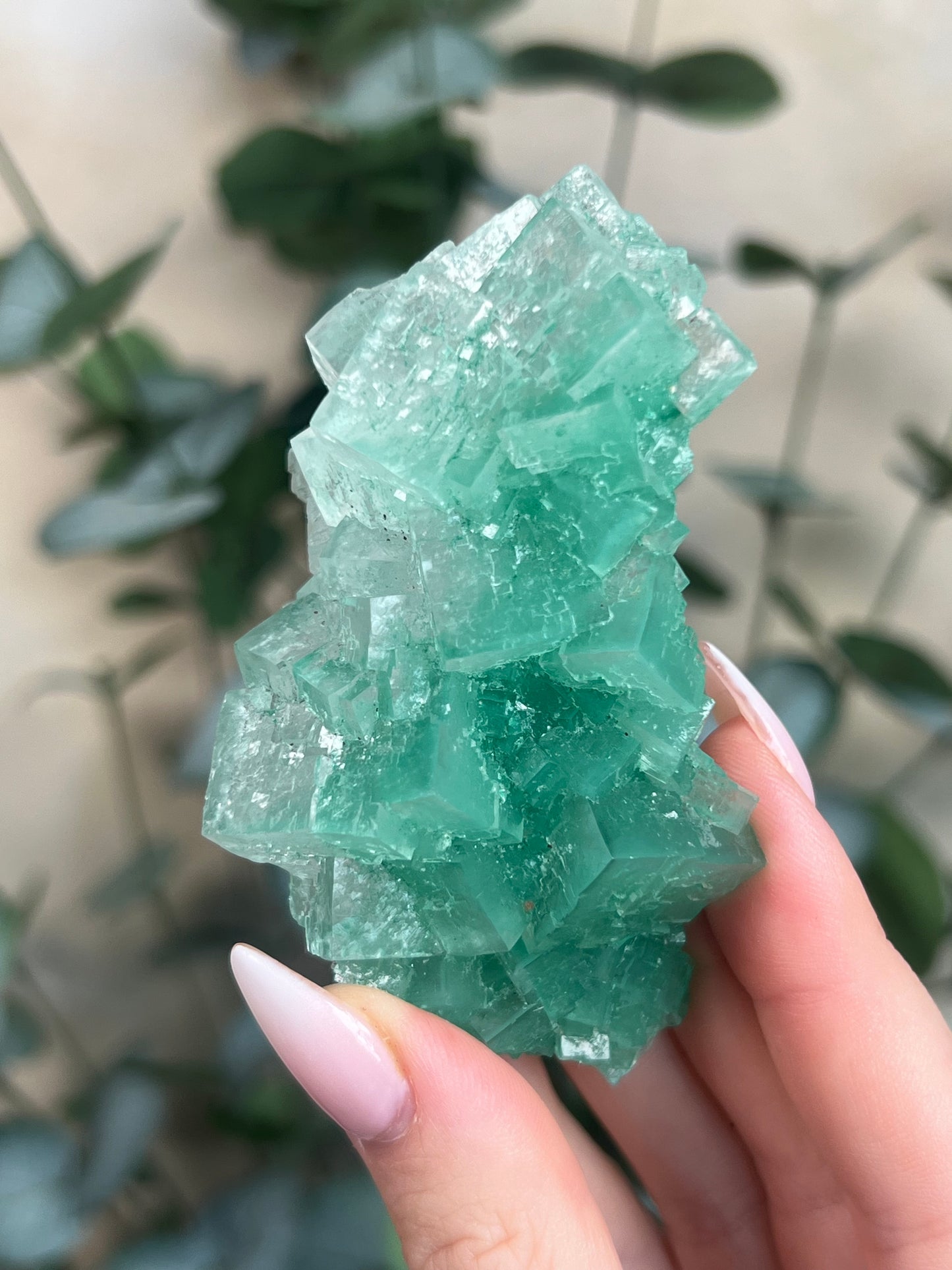 Green Halite with Display Stand (151KA)