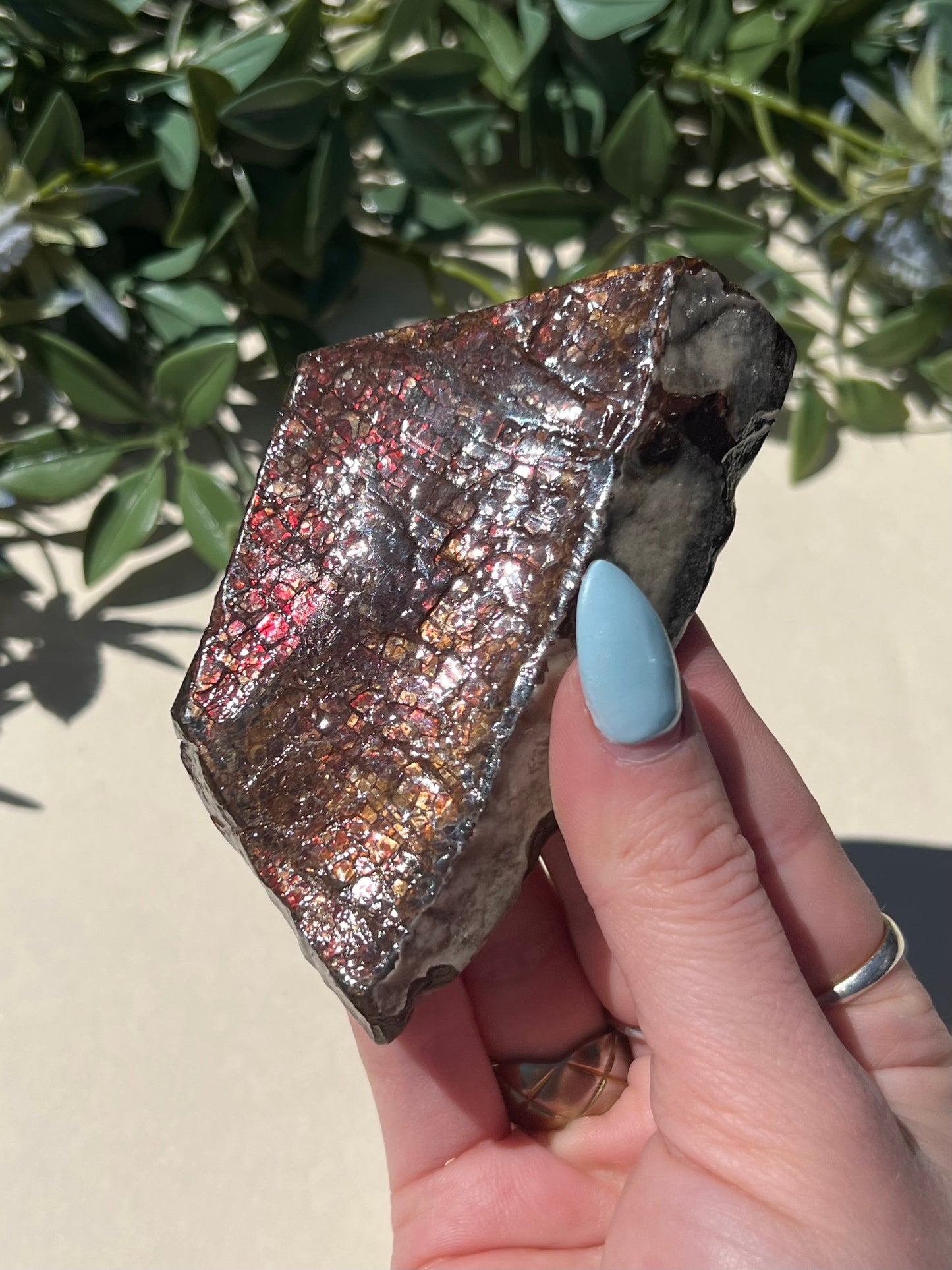 Ammolite (40AH)