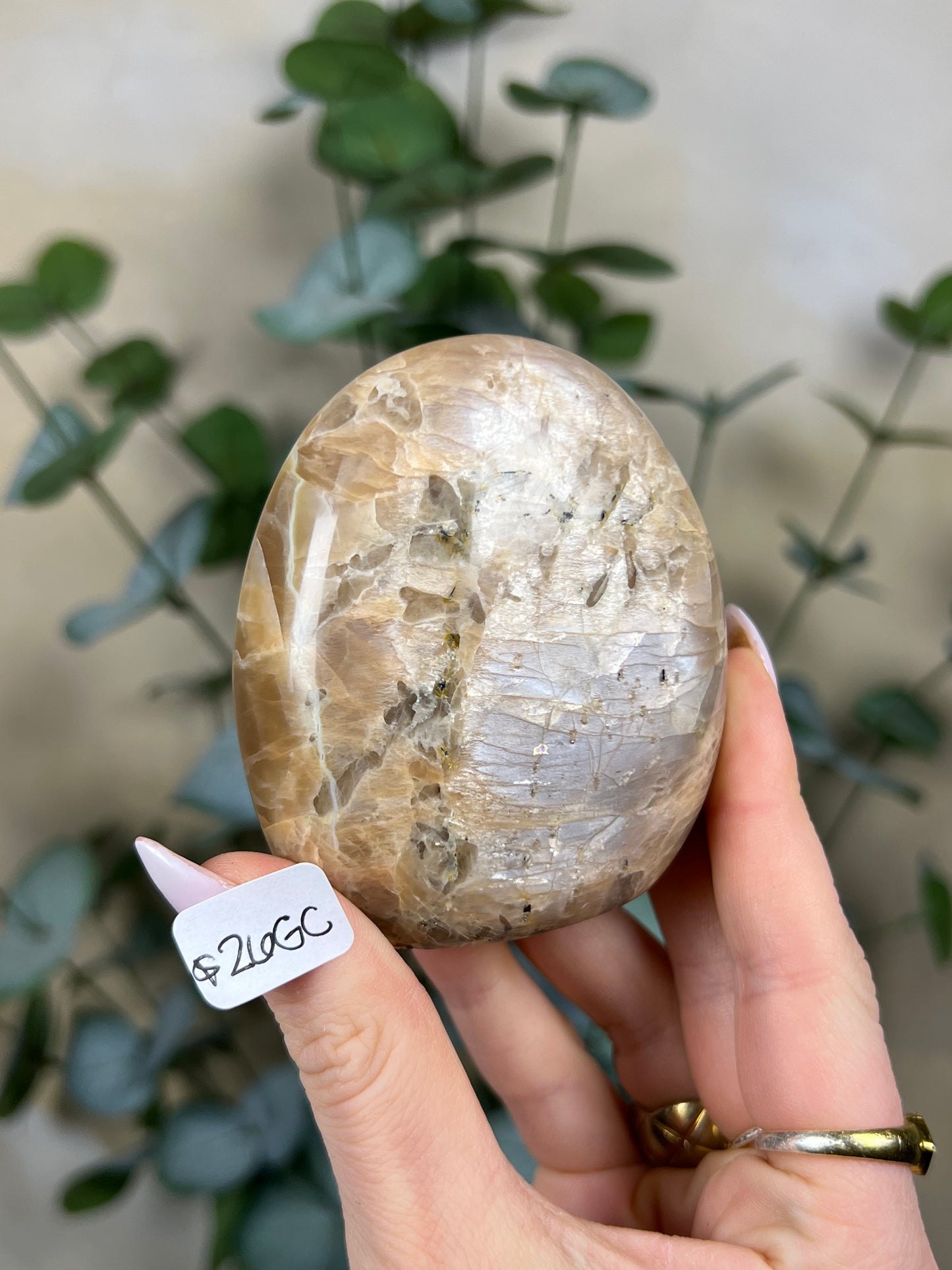 Peach Moonstone Freeforms (20HB, 26GC)