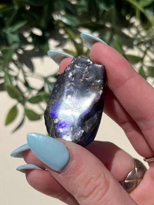 Ammolite (15AM)