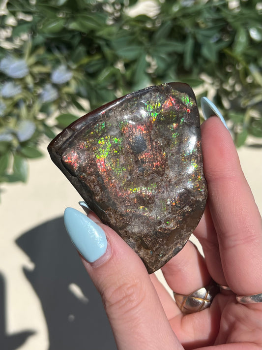 Ammolite (52AC)