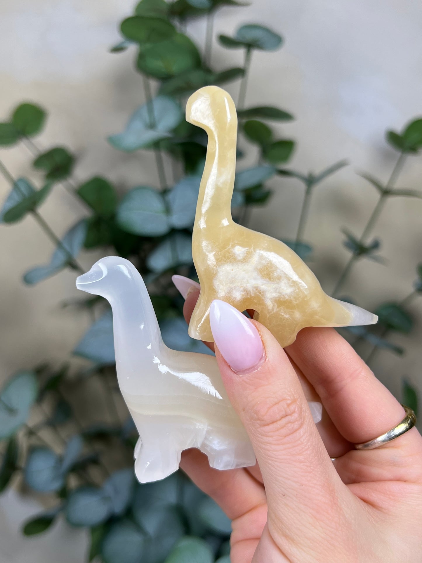 Calcite Brontosaurus