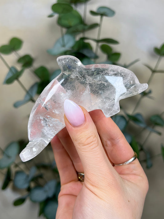 Quartz Dolphin (52EI)