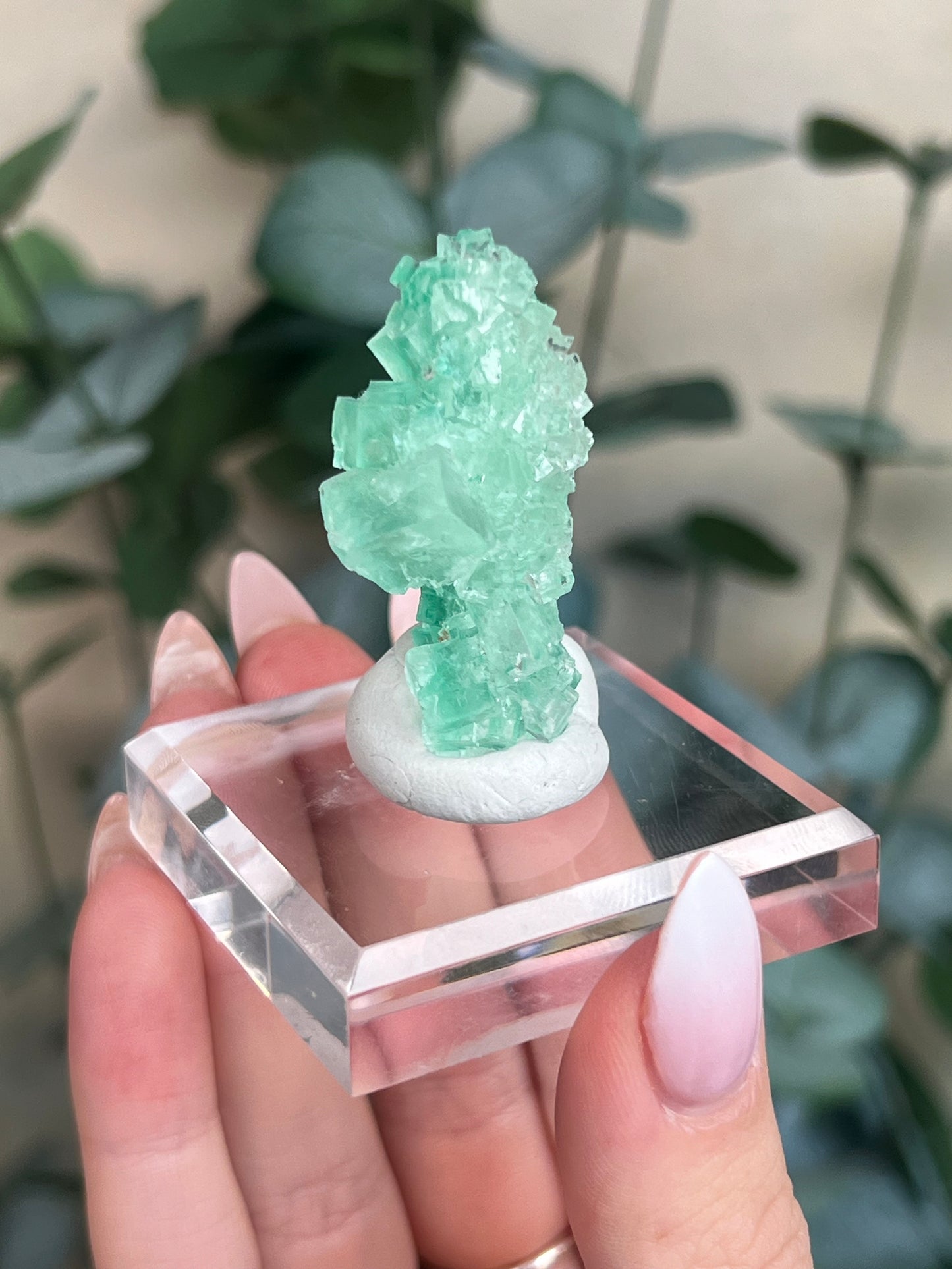 Green Halite with Display Block (54KS)