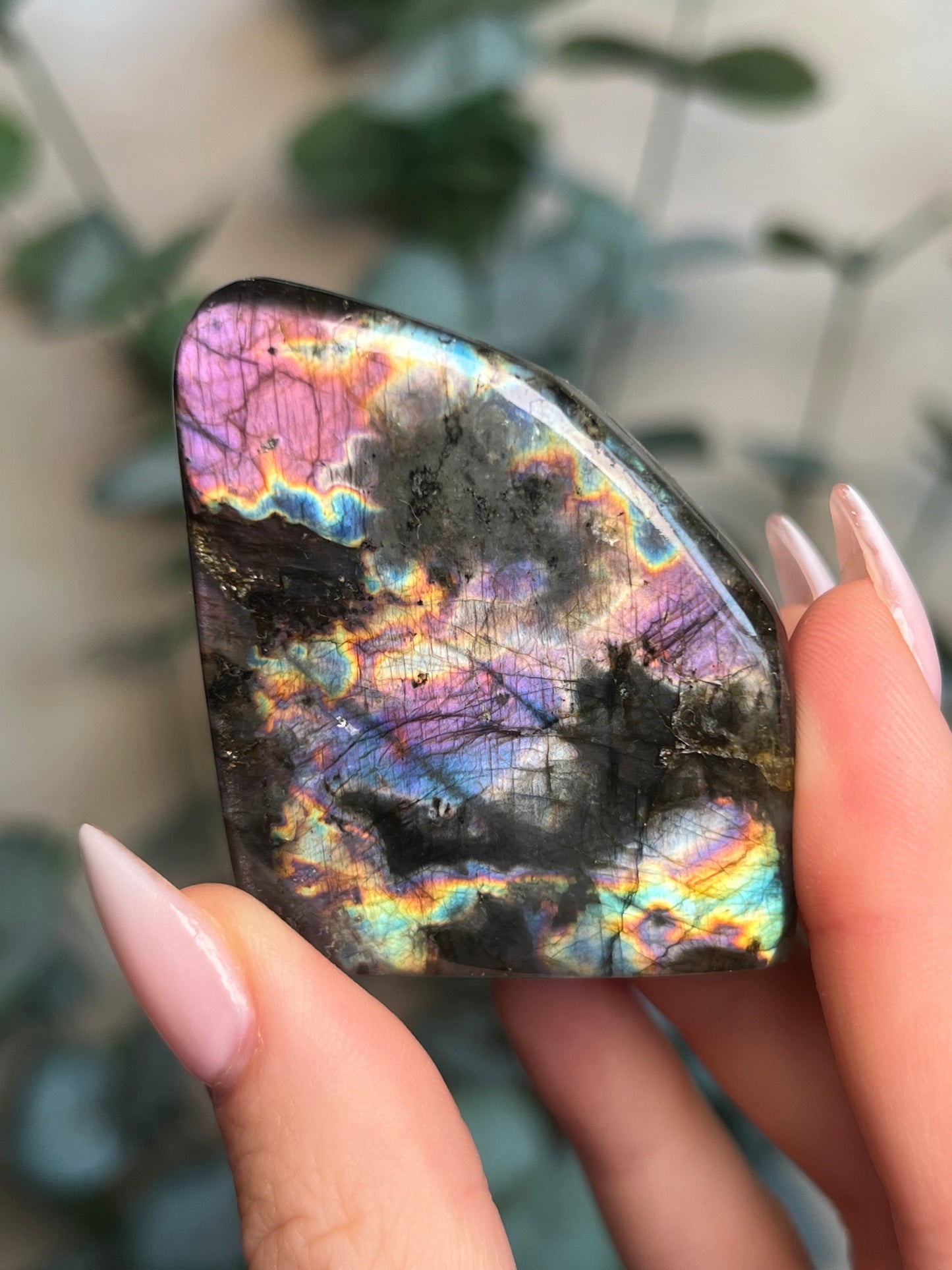 Labradorite Freeform HQ (31KR)