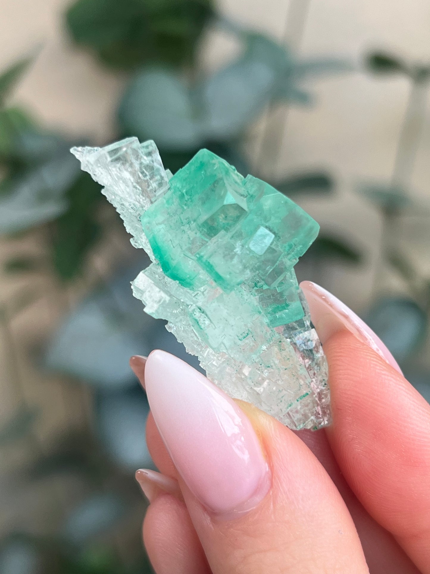 Green Halite with Display Block (70KF)