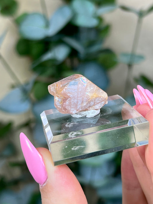 Pink Apatite (20AM)