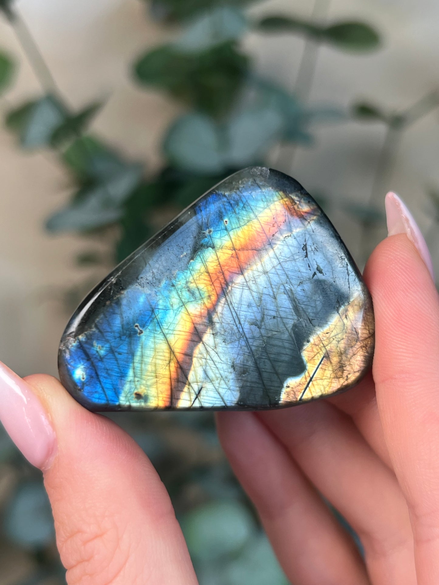 Labradorite Freeform HQ (25LI*)