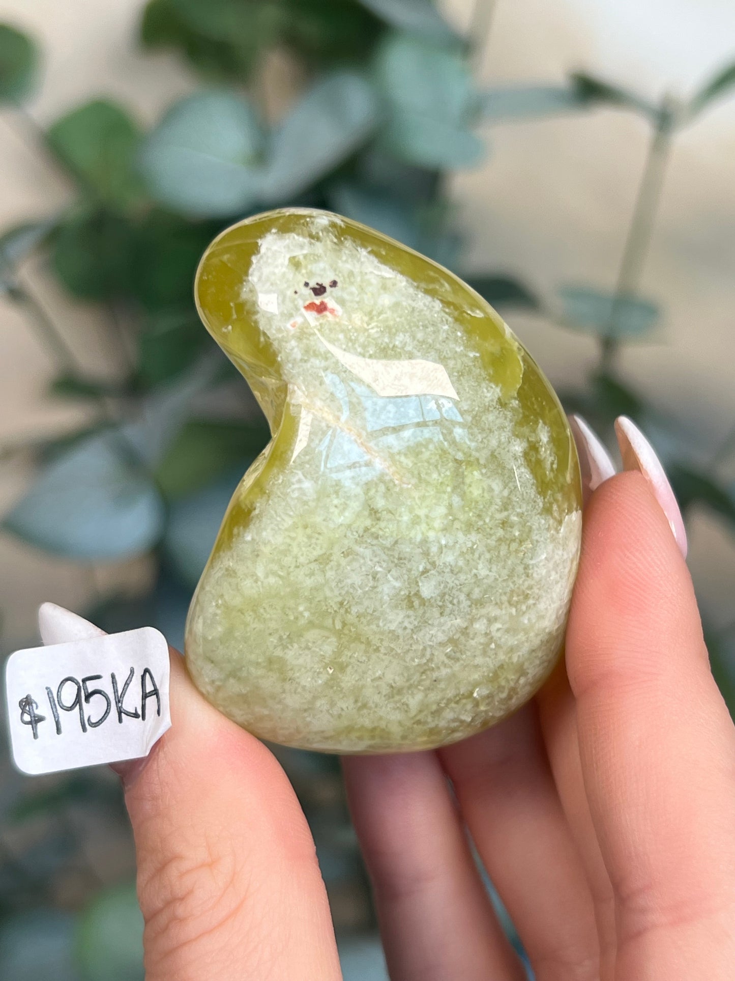 Australian Prehnite Polished (96KD, 195KA)