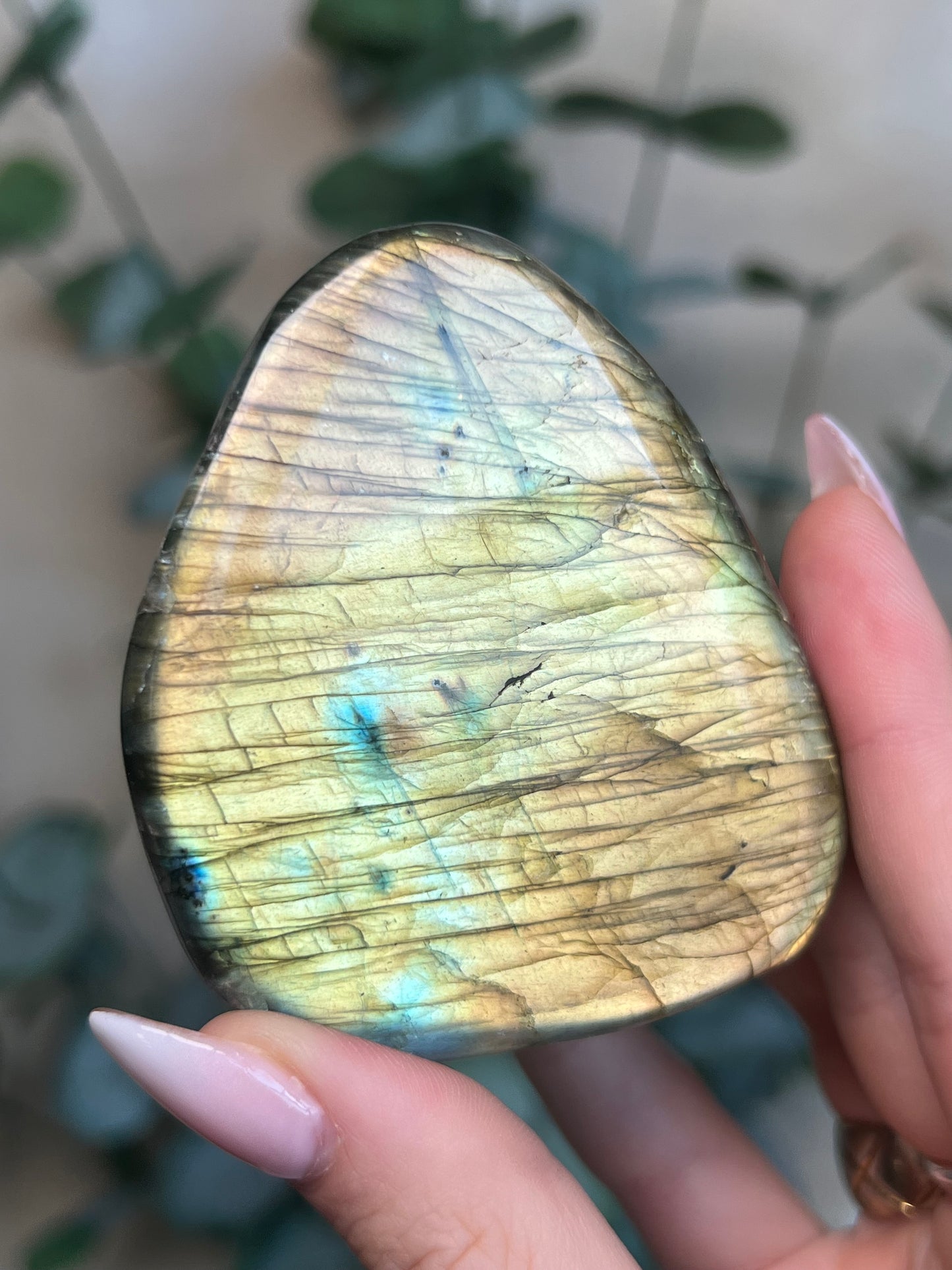 Labradorite Freeform HQ (38KY*)