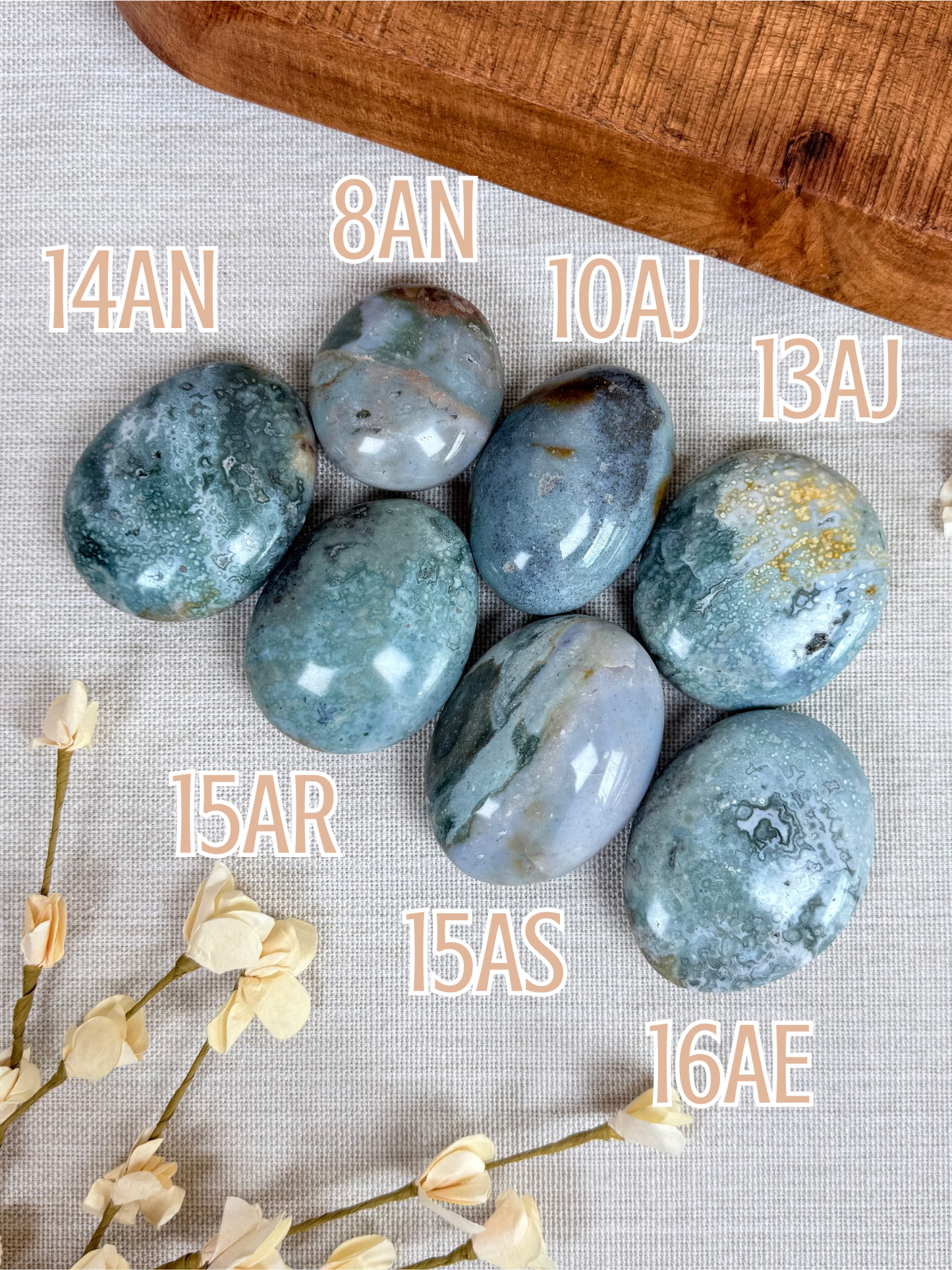Sea Jasper Palms (8AN-16AE)