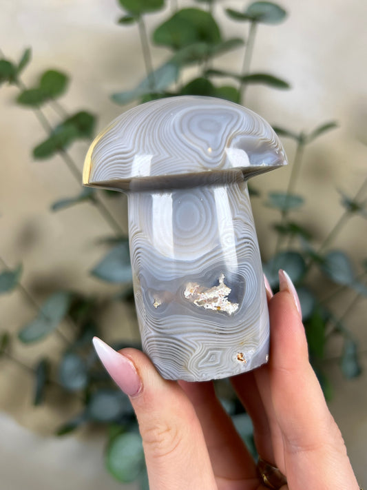 Agate Mushroom (26FW)
