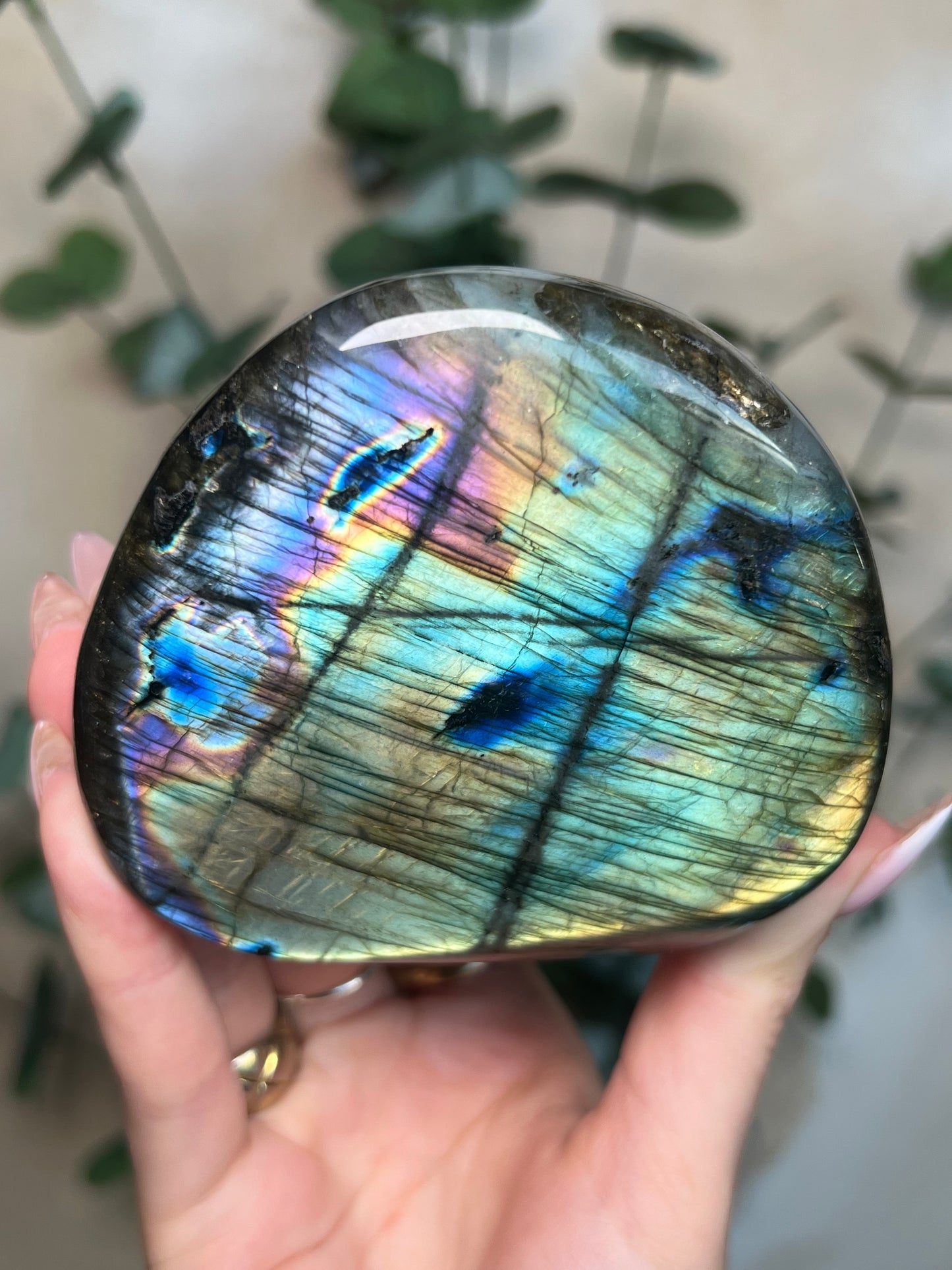 Labradorite Freeform HQ (124KD)