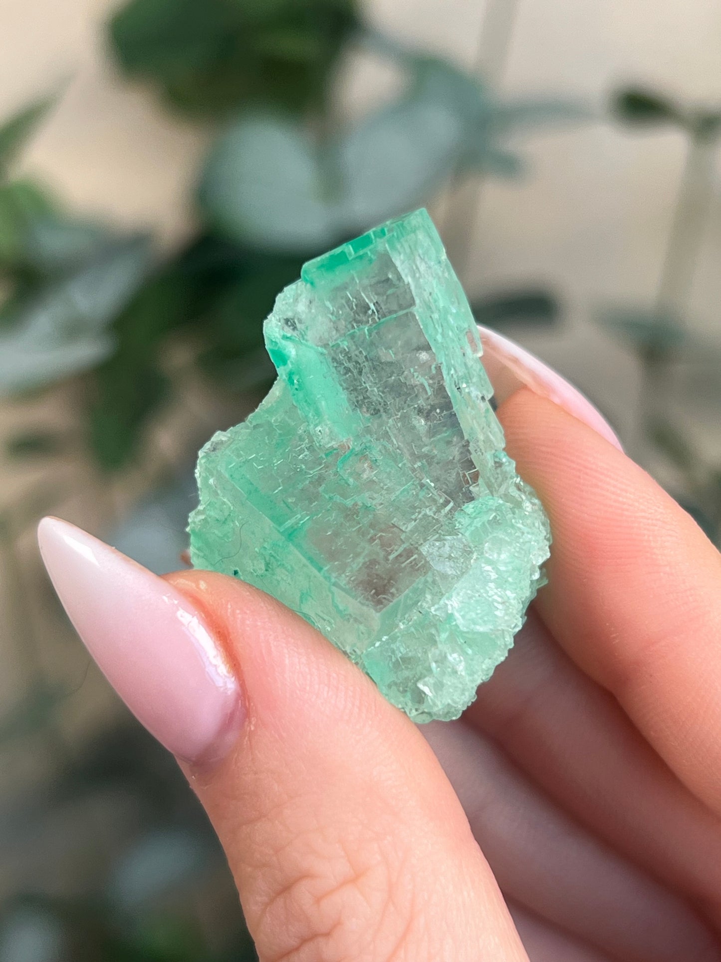 Green Halite with Display Block (80KD)