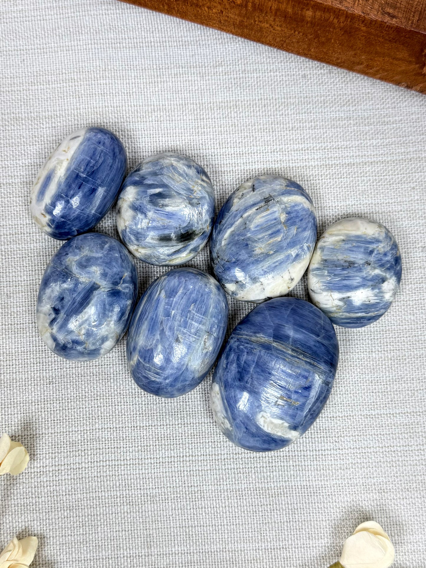 Kyanite Palms (7 options)