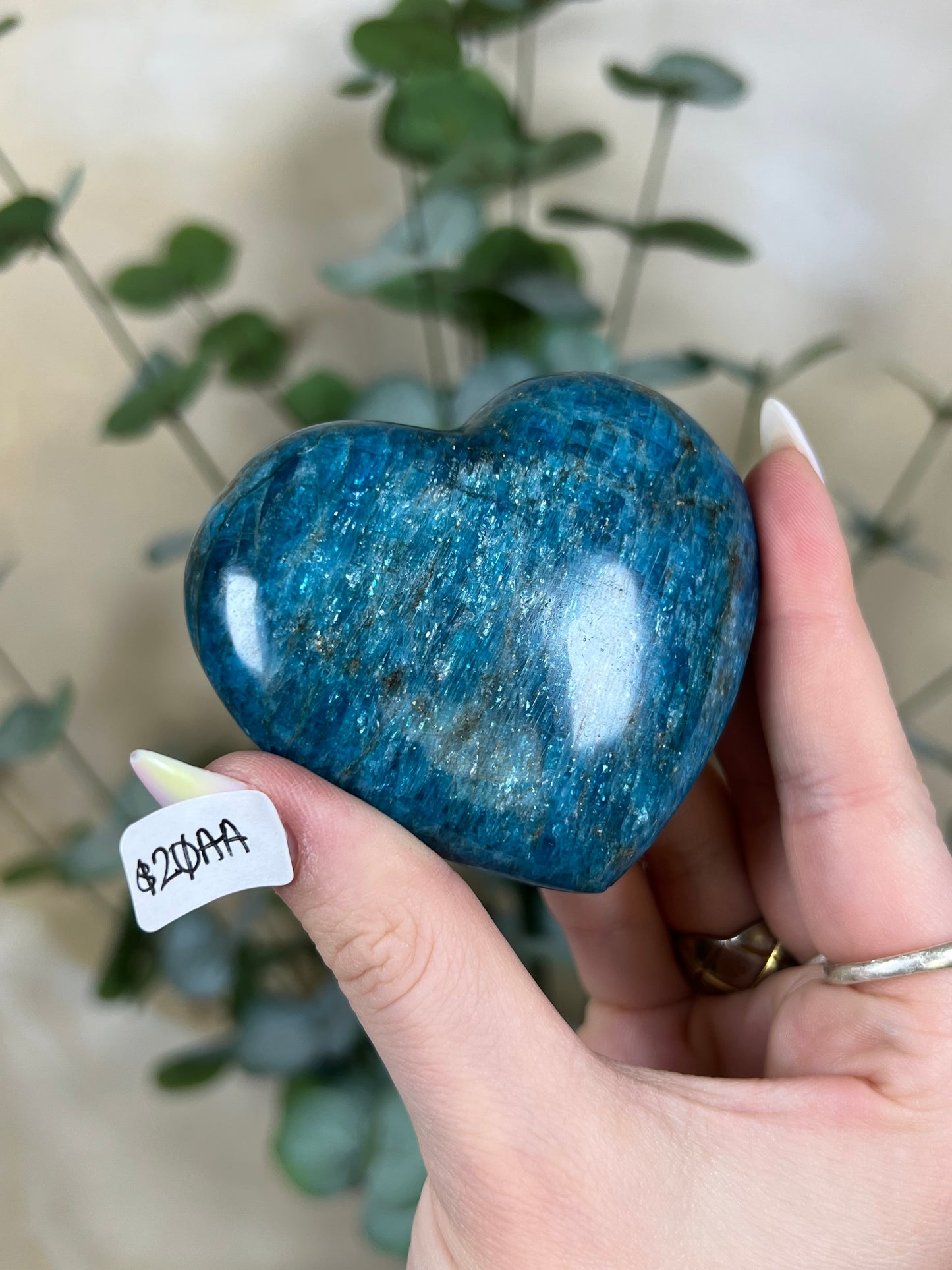 Blue Apatite Hearts (18AA, 20AA)