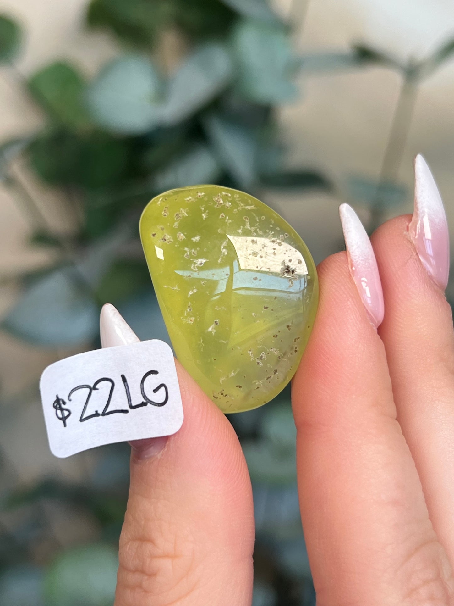 Australian Prehnite Polished (16-24, 6 options)