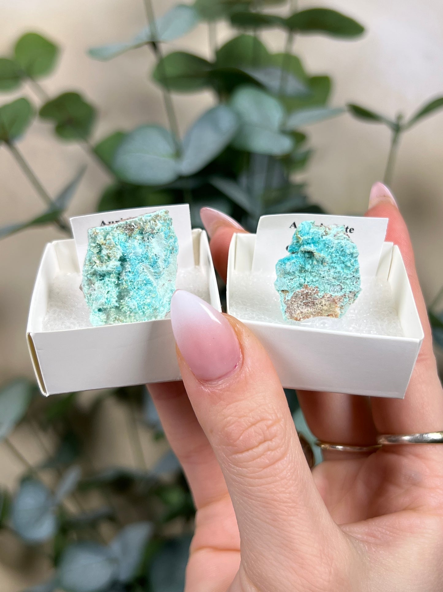 Aurichalcite Specimen - Nevada