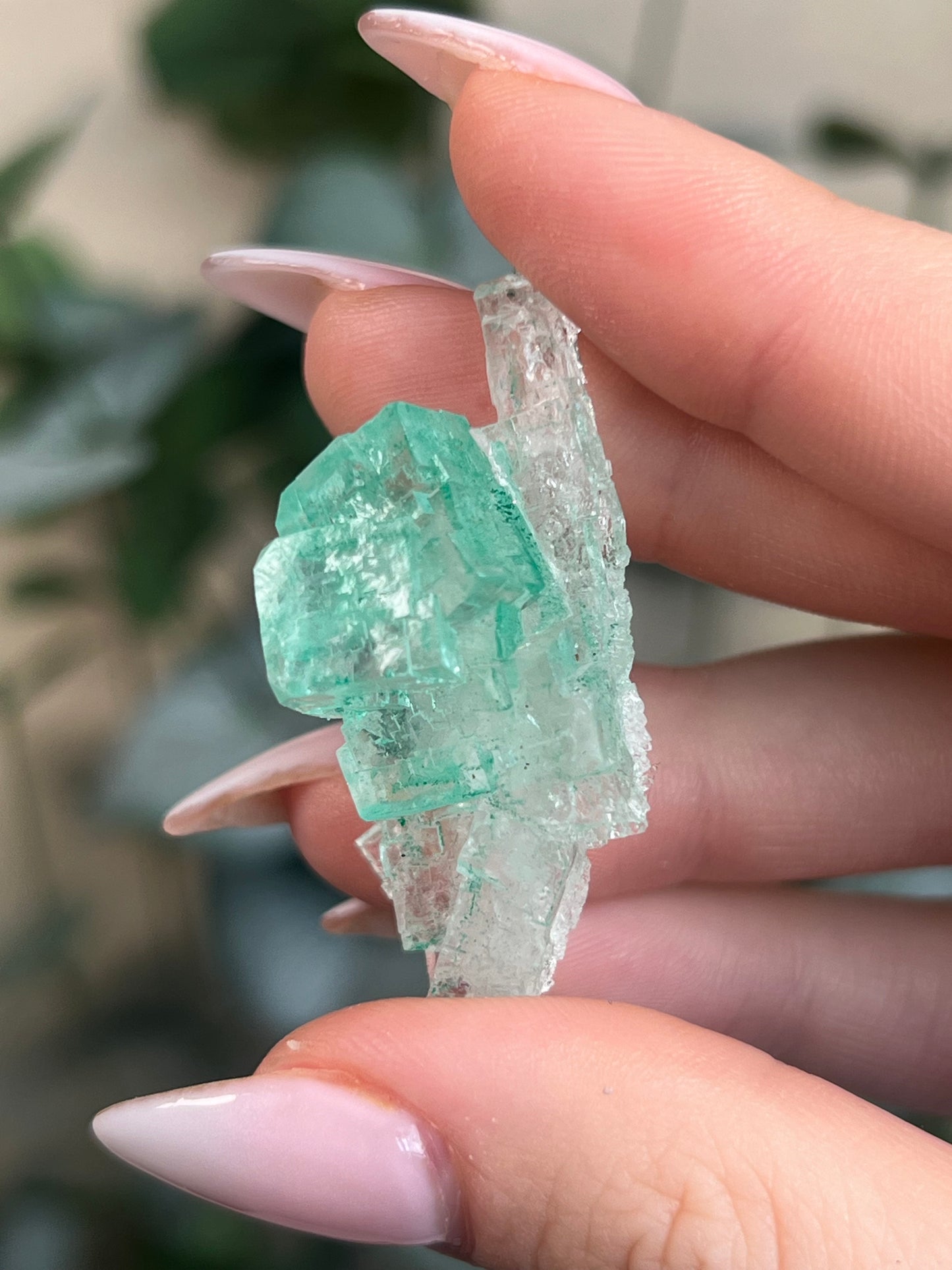 Green Halite with Display Block (70KF)