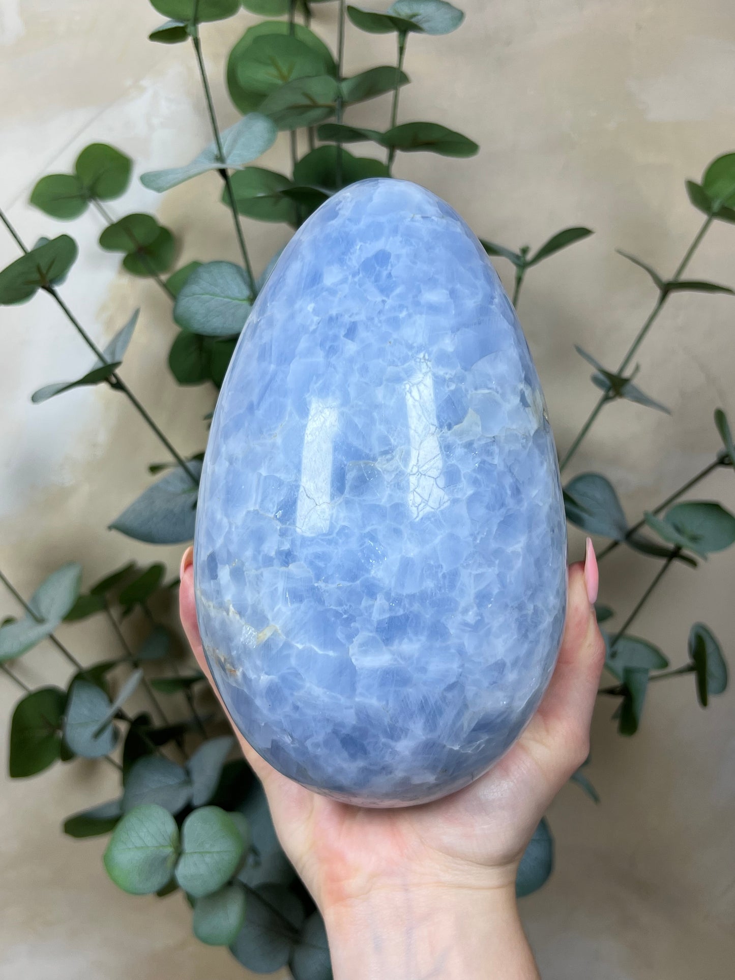 Blue Calcite Egg XL (177AA)