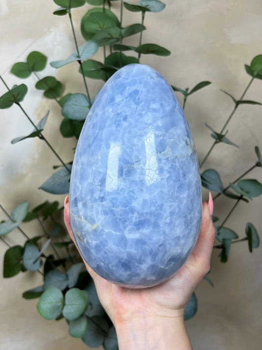 Blue Calcite Egg XL (177AA)