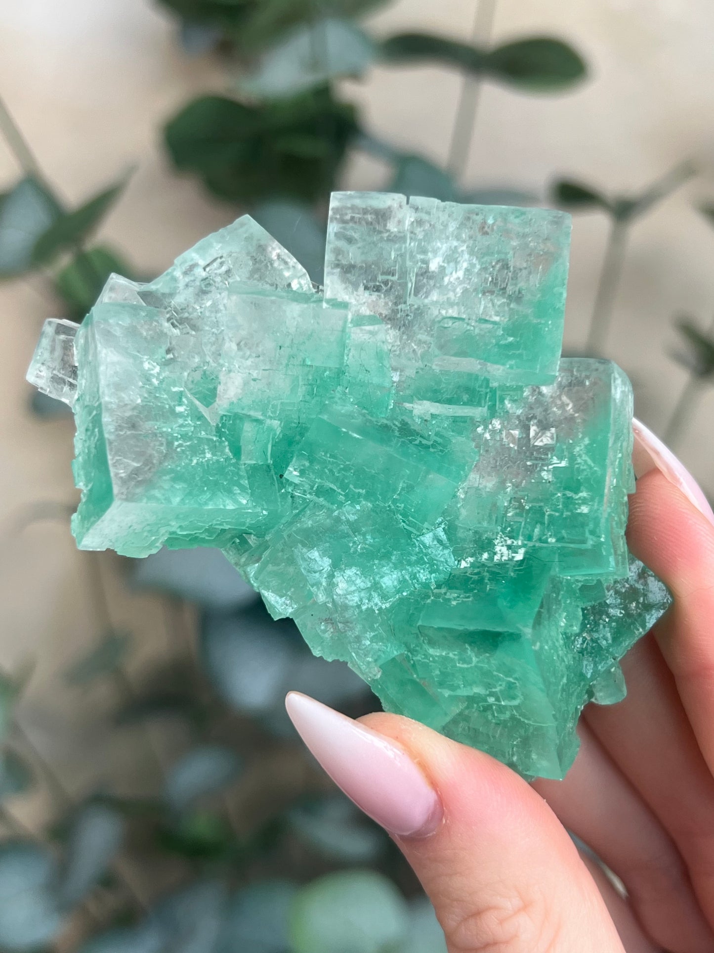 Green Halite with Display Stand (364KA)