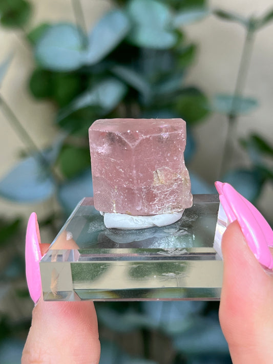Pink Apatite (46AB)