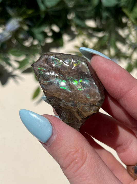 Ammolite (13AG)