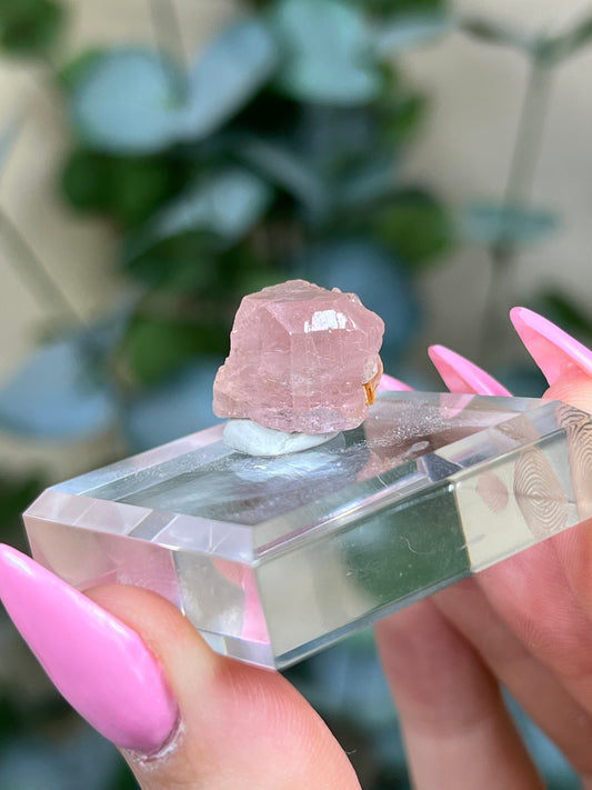 Pink Apatite (19AK)