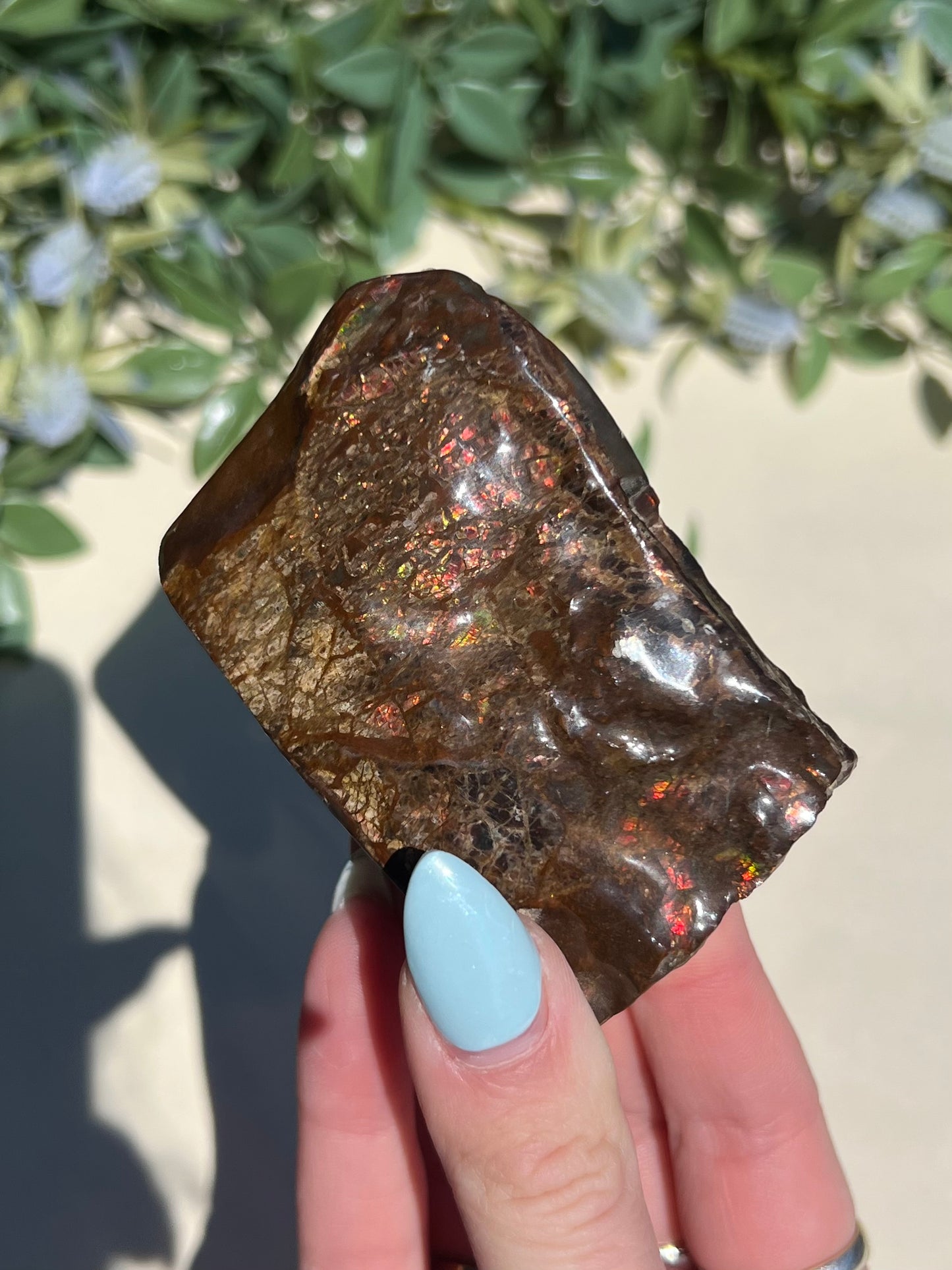 Ammolite (45AE)